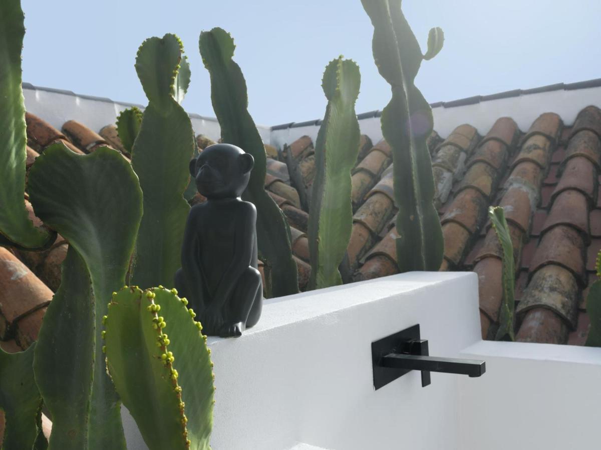 Old City Center Penthouse Málaga Eksteriør bilde